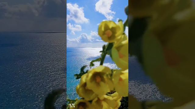 Цветок на море