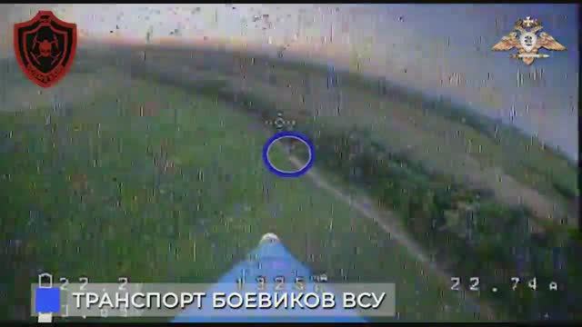??Охота роя VOZмездия за автомобилями ВСУ.