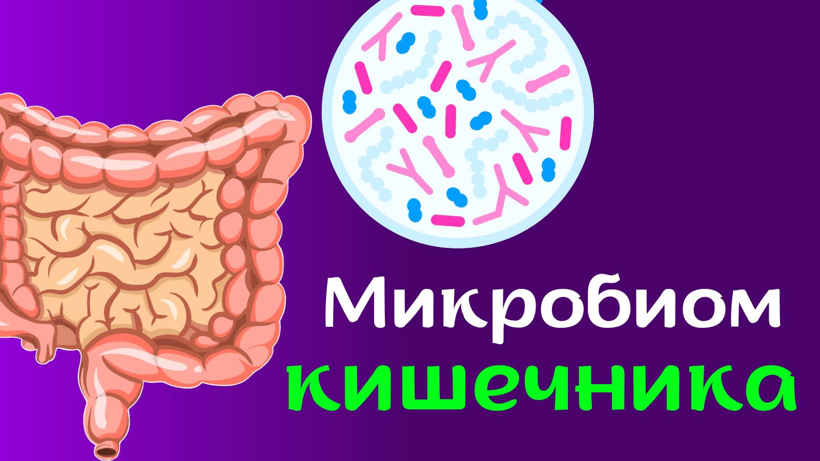 Микробиота кишечника