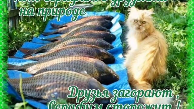Ловись рыбка мала и велика ...