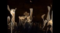 Nikon D3100 18-55mm vr lense - FIRE PHOTOS HD