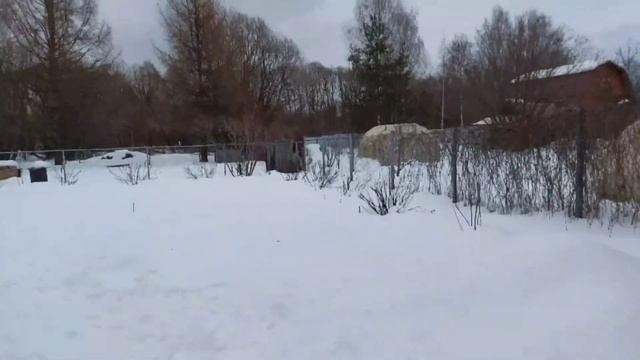 ЕЩЁ ОДИН ЧУДЕСНЫЙ ДЕНЬ В ДЕРЕВНЕ.