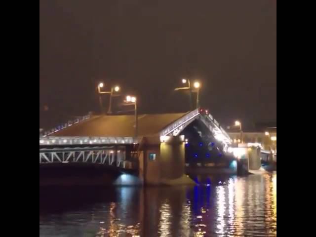 развод моста в Питере