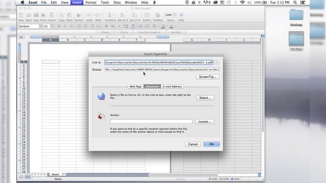 How to Insert PDF link into Spreadsheet MS Excel