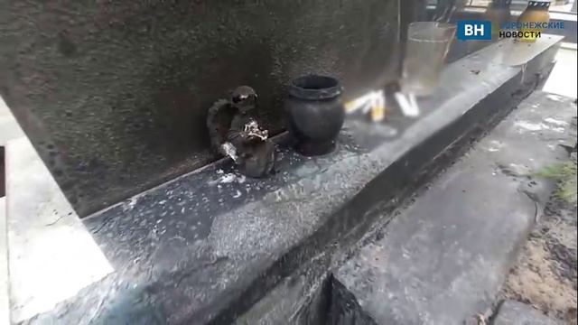 На могиле Юрия Хоя в Воронеже показали следы возгорания