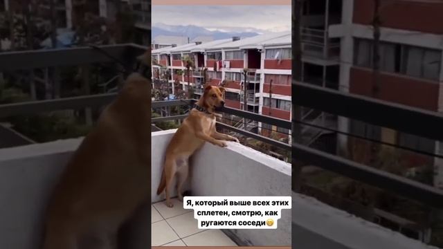 VID_20230805_052726_141