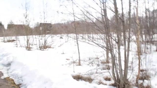 Участок 10 соток в  СНТ Связист  Александровский район Владимирская область.