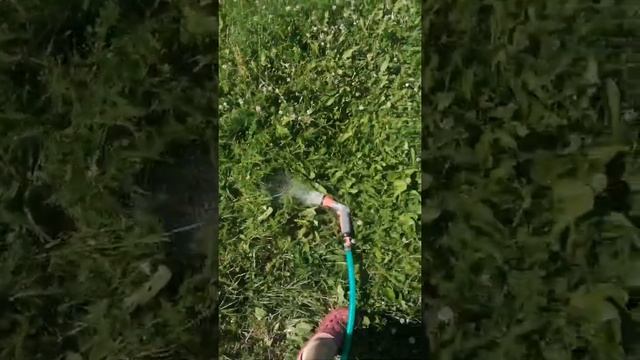GARDENA. ДУШ И ДОЖДЕВАТЕЛЬ ДЛЯ ПОЛИВА