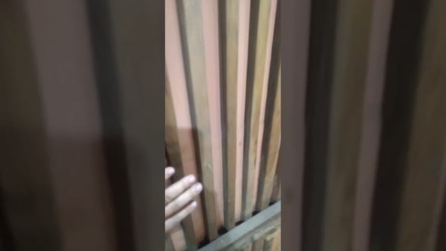 Утепление стены пенопластовой крошкой (измельчённым) #work #hobby #alternative #diy