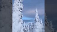 Риана Омск 2019год(1)