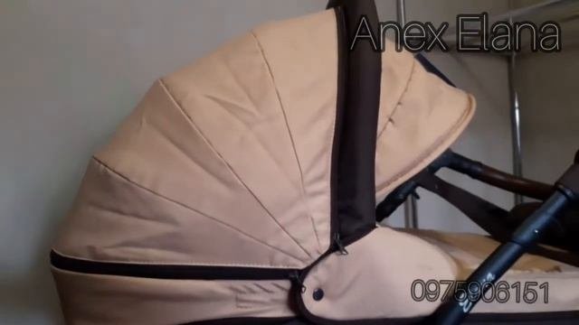 Anex Elana