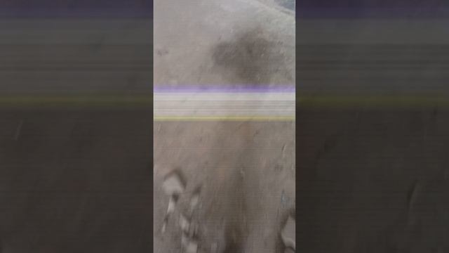 1000010895.mp4