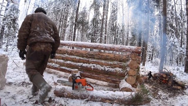 Ночь в лесу. Стройка зимовья в одного! #3