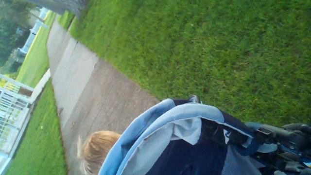 Alli's stroller walk...