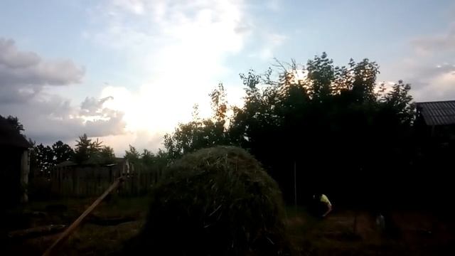 СЕНОКОС!ТРАВА У ДОМА!Жизнь в деревне!