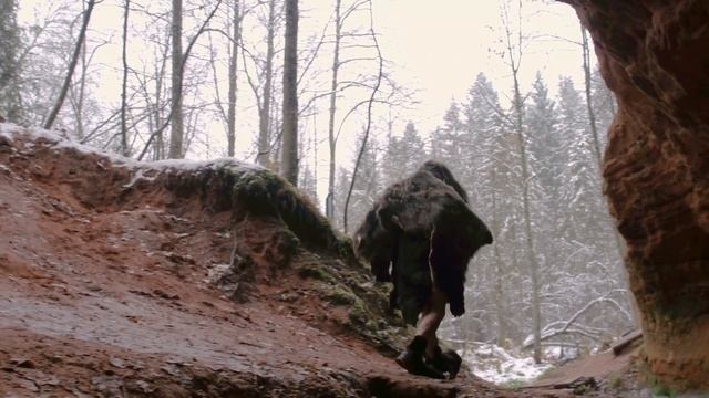 Выпуск 5. Сумеречные сновидения. Twilight dreams. 5 series. DREAM GUIDING STAR (О ЧЕМ ТЫ СПИШЬ?)