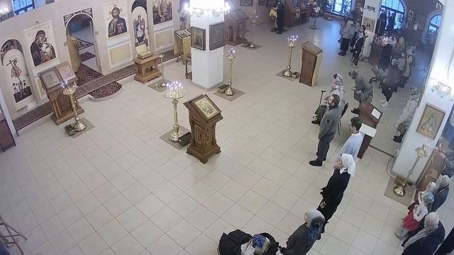 Прямая трансляция