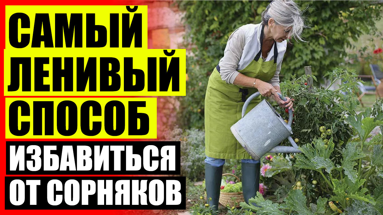 Грундор 400 мл 600 г ⚪ Продажа гербицидов в омске