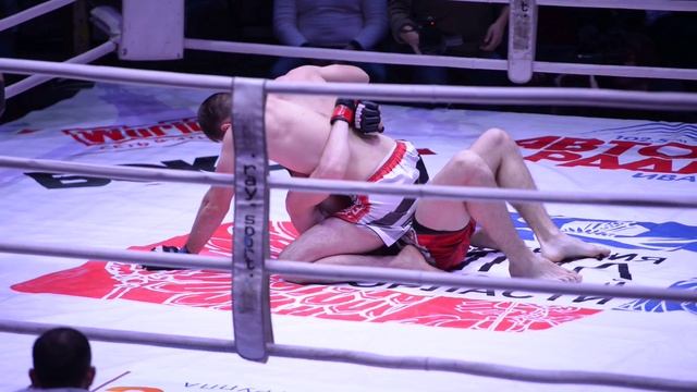 DSC 0040  2016.10.28 - Иваново - Цирк - Чемпионат ЦФОпо СБЕ ( ММА ) г.Иваново