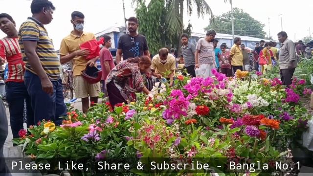 Galiff Street Flower Plants Market || Madhumalati Plant Summer Zinnia Orchid Lily Flower Plants