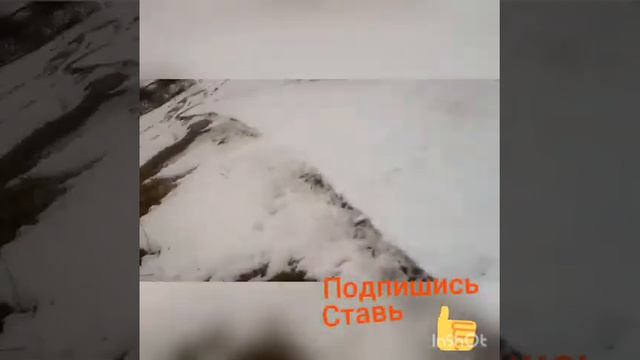 Очередная прогулка
