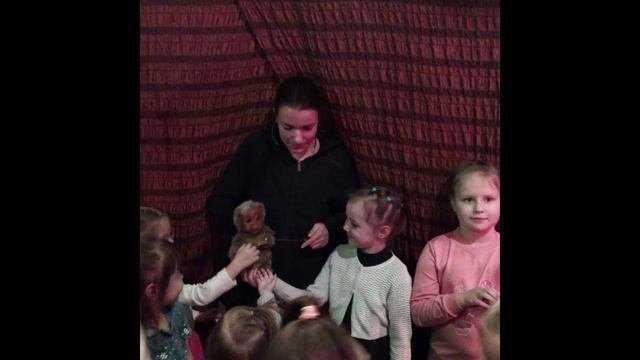 В волшебном мире театра живых кукол «2+ Ку»