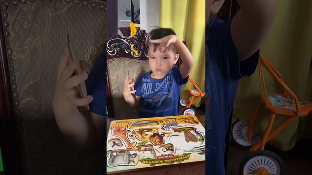 Учим животных и как они говорят 😅