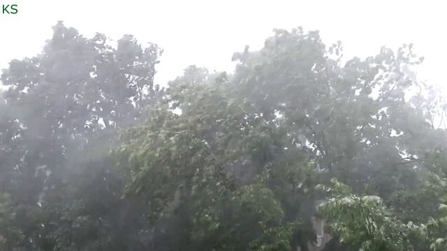 Видео. К S. Модерн Мартина. Ветер и дождь.