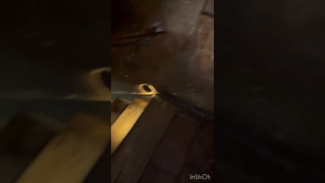 И снова осень в Праге, или не сидится нам дома
