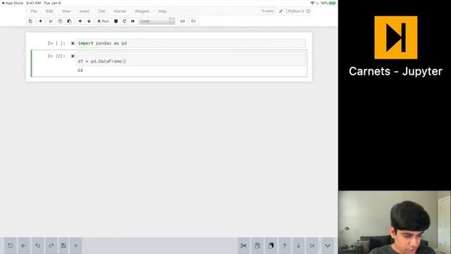 Working with Jupyter Notebooks on iPad using Carnets for iOS!  iOS App Review