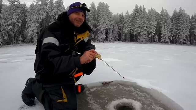 Карелия! Первый Лёд 2022 - 2023, Рыбалка на Лесном Озере, Отличное Открытие Рыболовного Сезона