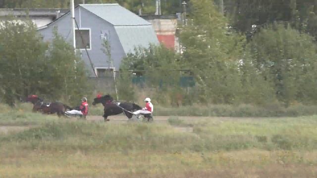 4 Раменский ипподром 15.09.2019 - Лошади рожд. 2015г. и старшего возраста рысистых пород