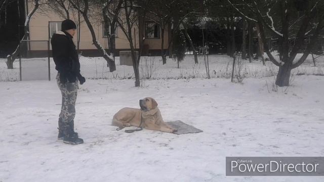 Изучение канды место!