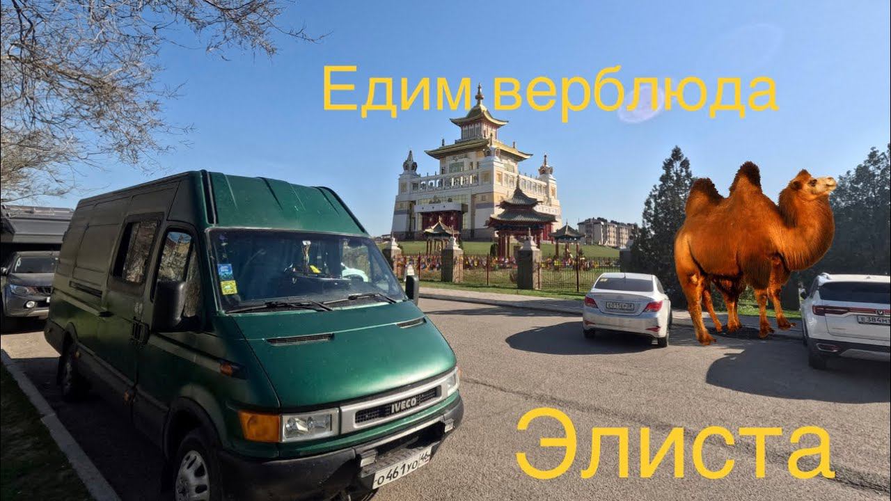 На велосипедах по Элисте. Волгоград, Воронеж