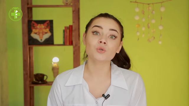 Лягушки В Домашних Условиях & Особенности Содержания Лягушек Дома. Ветклиника Био-Вет