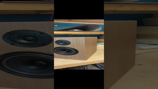 Акустические системы 50АС-202М1 "Ладога" (внешний вид)
