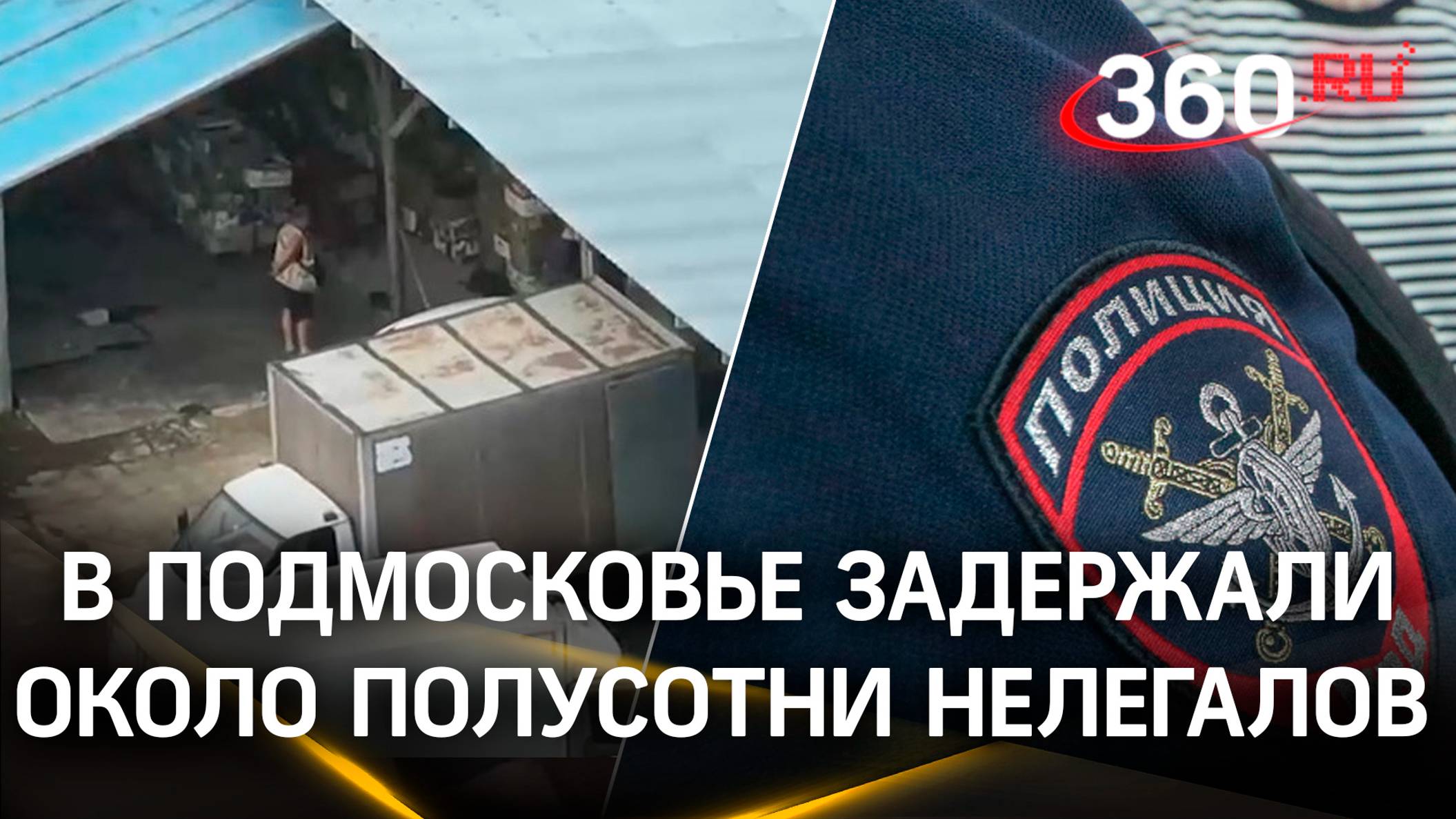 Почти 50 нелегалов прятались в тепличном комплексе в Подмосковье