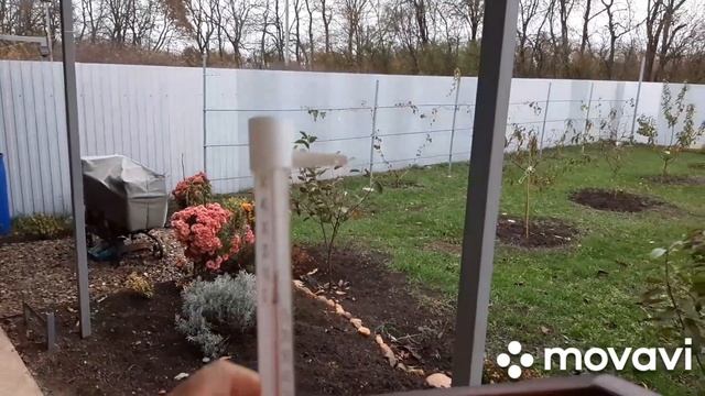 12, 14 ноября. Квасим капусту. Улицы Российская и Лермонтова. Укрепляем кресла и каркас.