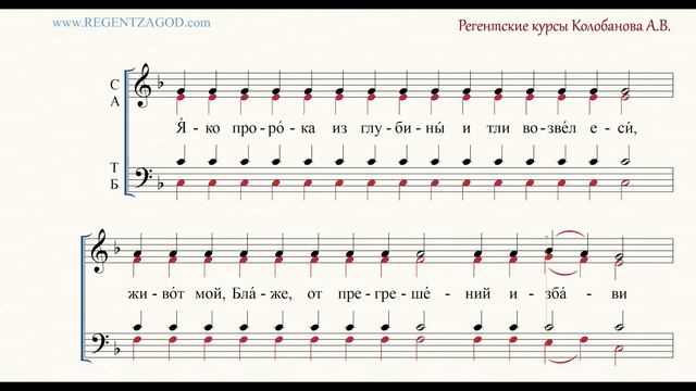 Глас 4, песнь 6, ирмос: "Яко пророка"
