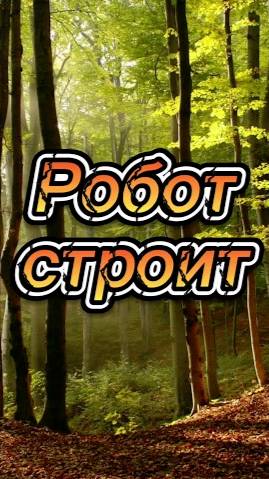 Робот строит !