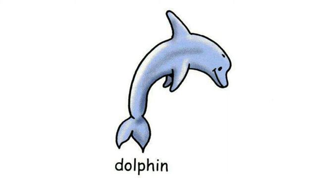 How to Pronounce Dolphin in British English