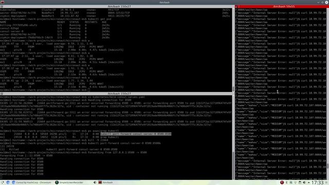 kubernetes consul micronaut working 3 / 4