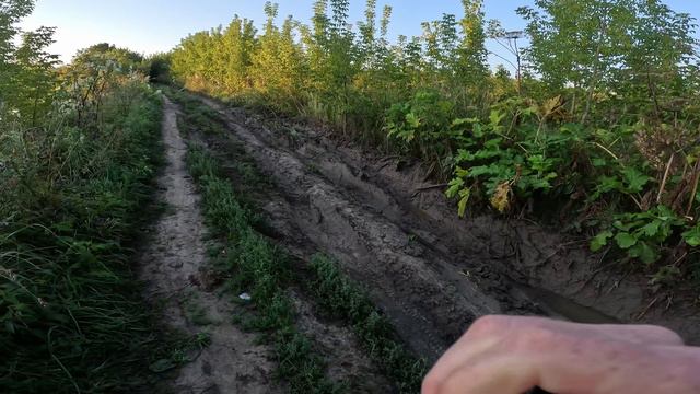 Нерыбалка. Дорога к плотине. Москварека. р-он Софьино. 15.08.2024.