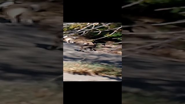 1000128998.mp4