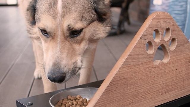 Промо видео для корма