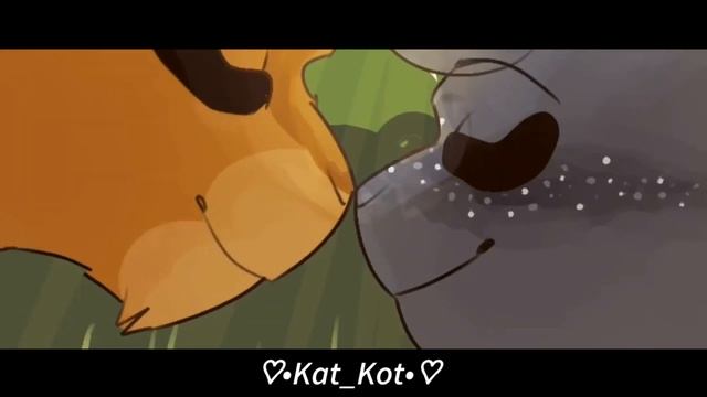 ♡•Коты-Воители | Клип Утро°Warriors-Cats | Clip Morning•♡