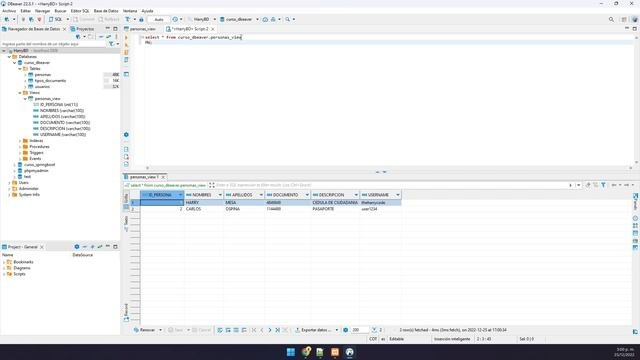 Curso de DBeaver  Como Ejecutar y Obtener Información De Vistas View Usando DBeaver