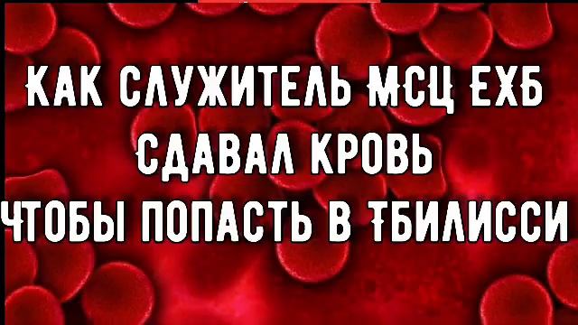 Интересный пример ✔️||КАК СЛУЖИТЕЛЬ МСЦ ЕХБ СДАВАЛ КРОВЬ ЧТОБЫ ПОПАСТЬ В ТБИЛИСИ