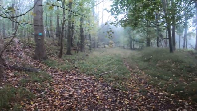 КУПИЛ НОВЫЙ МОТИК! НОВИЧОК ПO МОКРОМУ ЛЕСУ...