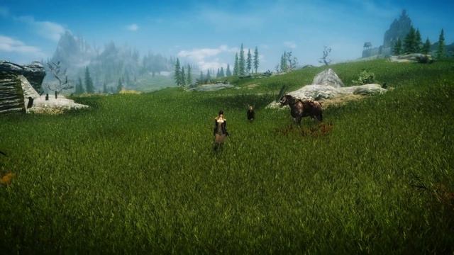 Skyrim mod Grass Field